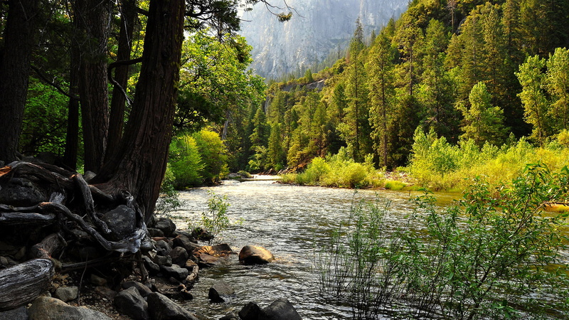 lake, flowing water, non-urban scene, mountains, day, tranquility, tranquil scene, tree, wood, outdoor, tranquil, stream - flowing water, grass, ecology