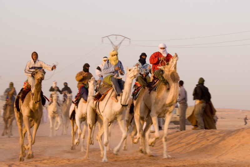 working animal, outdoors, nature, race, desert, motion, warm-up, sky, group of people, mammal, 2K, animal, group, camel, men, horses, domestic animals