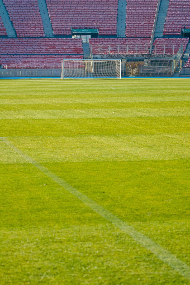 outdoors, nature, field, goal, forum for the public, football stadium, green color, empty, Santiago, day, Sports, soccer field, competition, 4K, plant