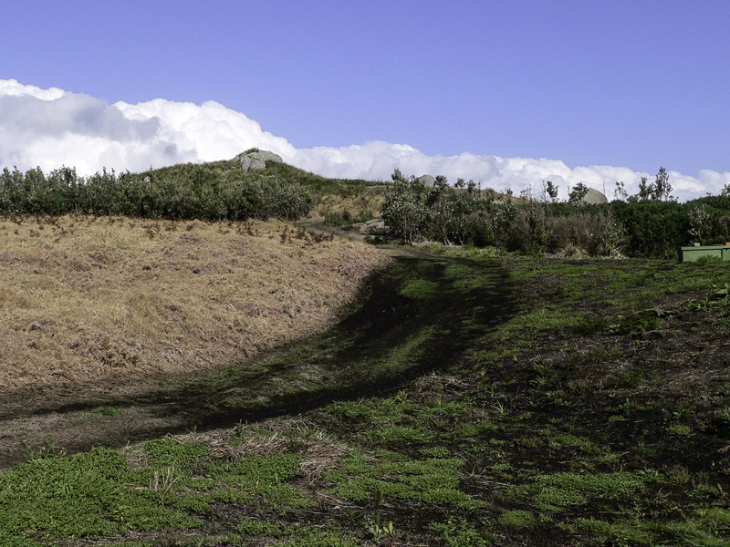 Replanting, plant, 2K, travel Locations, trail, day, no people, green color, south, beauty in nature, field, landscapes, grass, clouds, mountain, wales