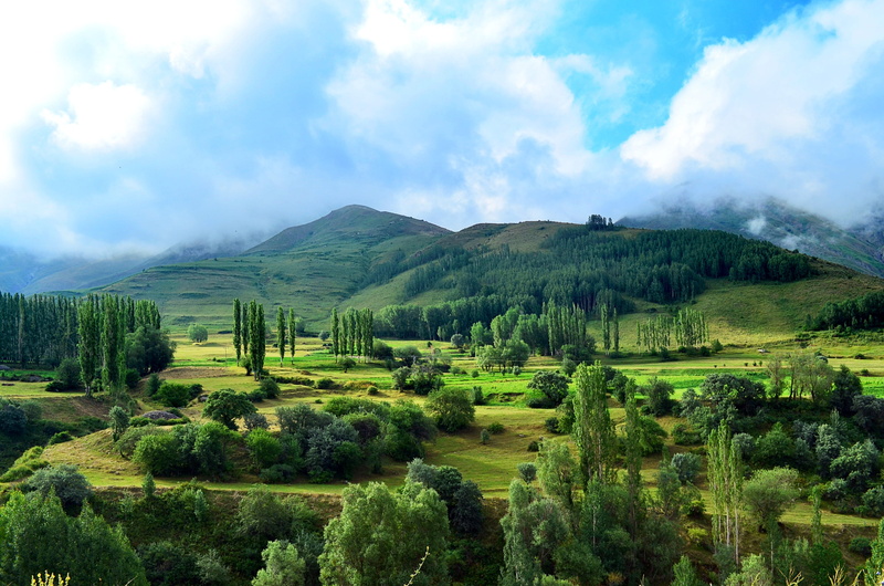 non-urban scene, grass, environment, white clouds, green, natural life, taylor, day, green color, tree, highland, grassland, sky, kaçkars, natur