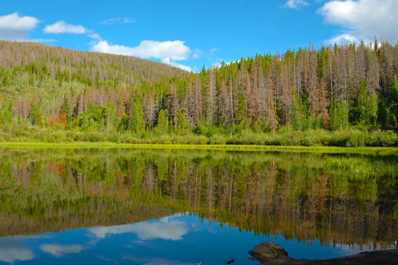 tourism, beauty in nature, land, highlands, pine tree, wilderness, day, attraction, outdoors, tourist, view, rocky, lake, sunny, trees, reflection, plant