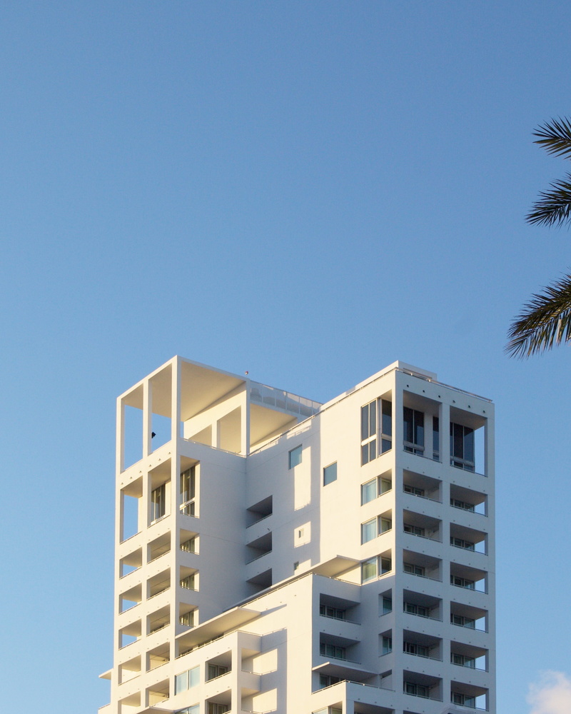 washington, house, building, palm tree, day, clear sky, sky, residential district, sunlight, blue, outdoors, no people, city, office building exterior