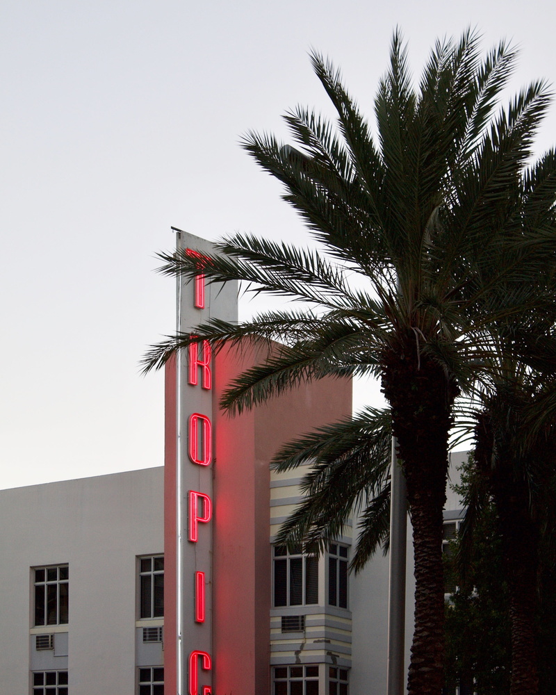 2K, palm leaf, 4500 macarthur blvd nw, house, outdoors, growth, built structure, nature, no people, window, day, red, tropical climate, palm tree, building