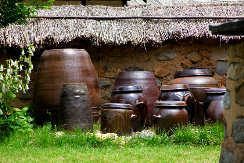 wooden, 5K, culture, grass, day, near, wood, house, pot, ripening, brown, ceramic, old, barrel, of the countryside, in a row, plant, outdoors, nature