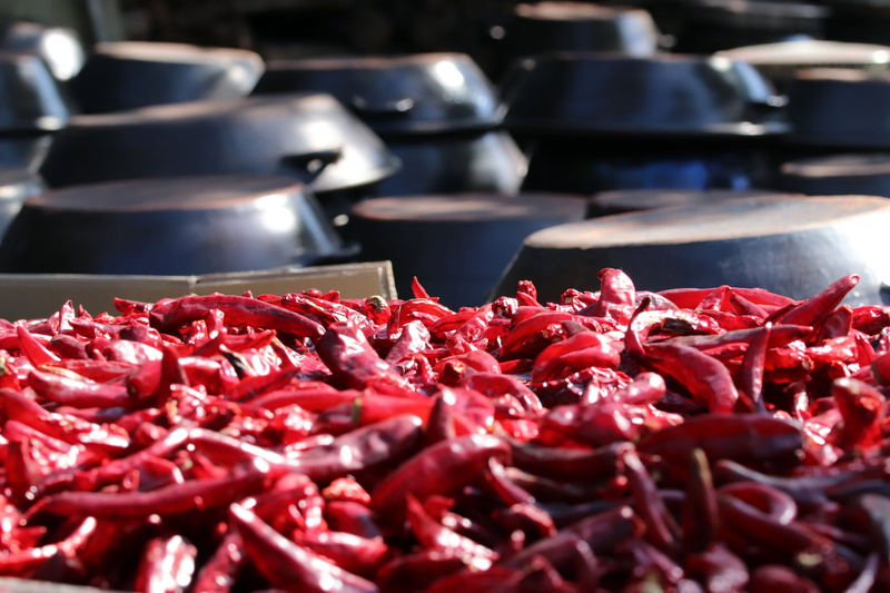 large group of objects, selective focus, no people, jar, red pepper, vegetable, retail, chili pepper, for sale, still life, market, pepper gun, food, close-up