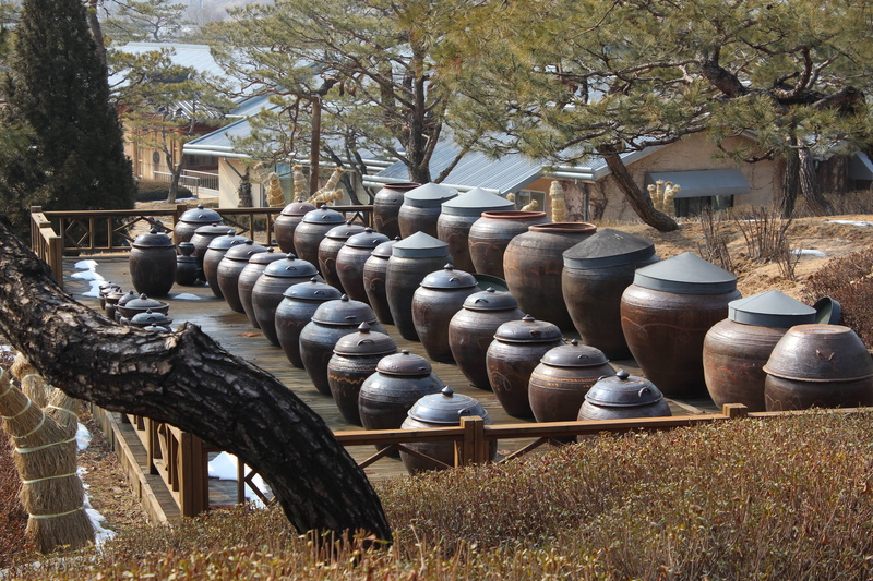 wood - material, order, large group of objects, daytime, jars, plant, outdoors, earthenware, surface, in a row, no people, arrangement, chapter dogdae