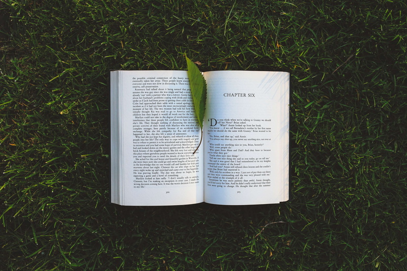 grass, field, lawn, day, environment, plant, tree, high angle view, read, western script, book, land, book pages, no people, reading, dawn, text, directly above