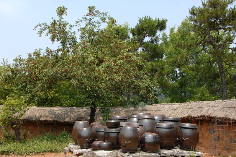 tree, growth, thatch roofed hose, Chapter, sunlight, green color, sky, linden tree, metal, field, food and drink, no people, container, rural Scene, old