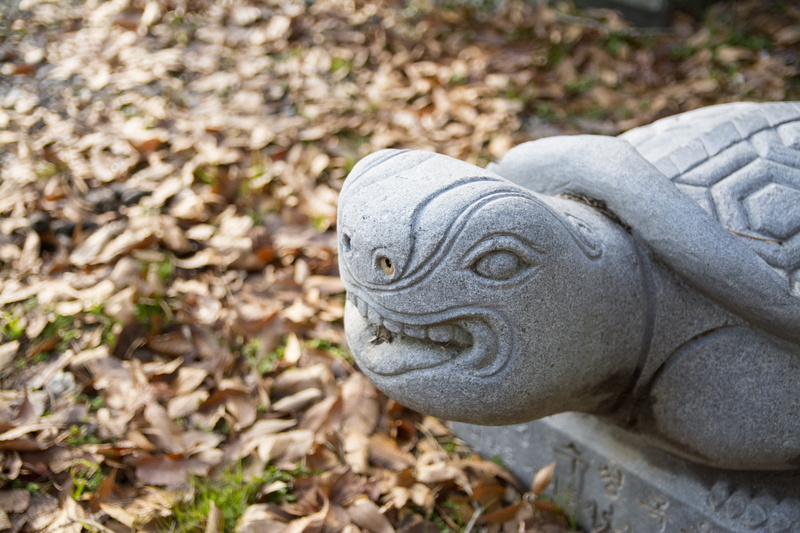 plant part, statue, stone, glyph, 5K, Republic Of Korea, day, animal head, forbidden city, close-up, craft, animal representation, korea, animal body part