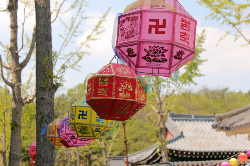 chinese new year, temple, sky, 5K, nature, non-western script, script, glyph, focus on foreground, close-up, text, plant, red, religion, no people, hanging