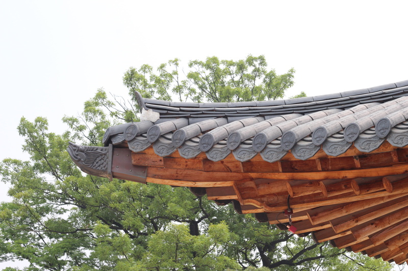 plant, the past, cultural property, republic of korea, landscape, building exterior, korea, tree, nature, no people, 5K, growth, glyph, built structure
