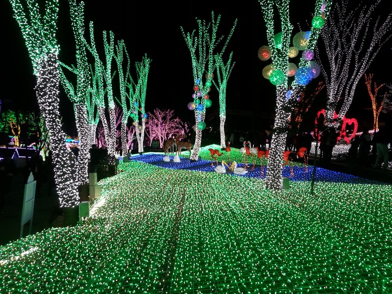 party, park - man made space, wood, 2K, nature, festival, holiday, outdoors, lighting equipment, plant, no people, green color, decoration, illuminated