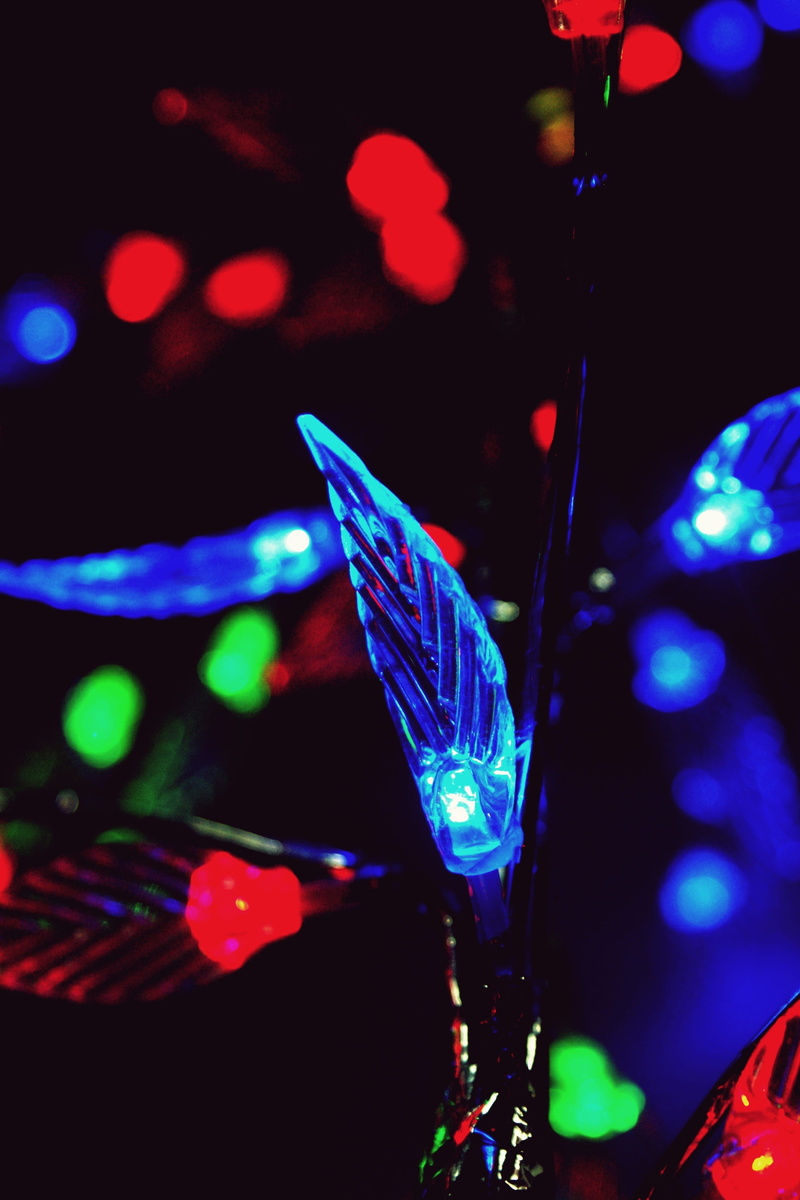 creativity, lighting equipment, energy, light, red, reflection, green, lights, light-bulb, night, business, idea, glyph, lens flare, invention, electricity