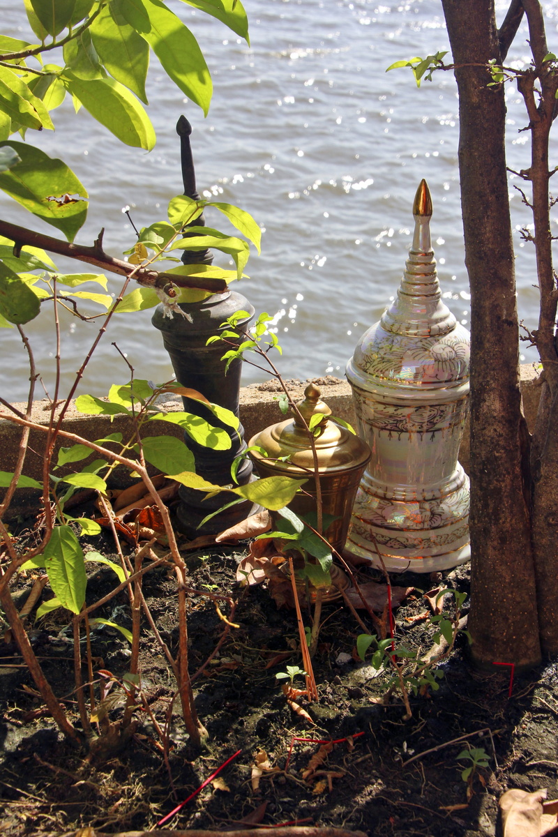 plant part, beauty in nature, tranquil scene, Asia, Buddhism, trunk, sunlight, leaf, tree, water, Force, Urn, mentally, reflection, growth, nature, contemplation