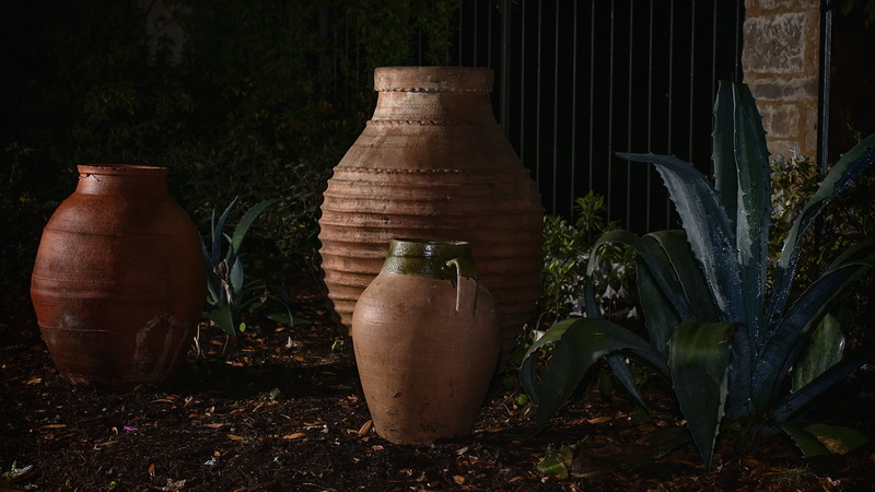 grass, craft, abandoned, cylinder, meadow, farm, floral, bottle, jar, can, shovel, daffodil, Plant, no people, Flower, gardening, flower beds, equipment