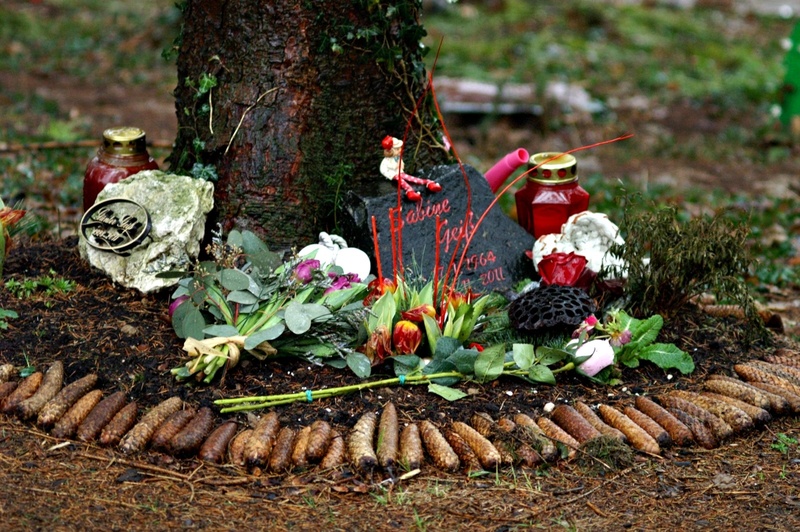 growth, day, outdoors, art and craft, red, land, no people, plant, death, cemetery, tree trunk, creativity, forest funeral, nature, grave, religion, tree
