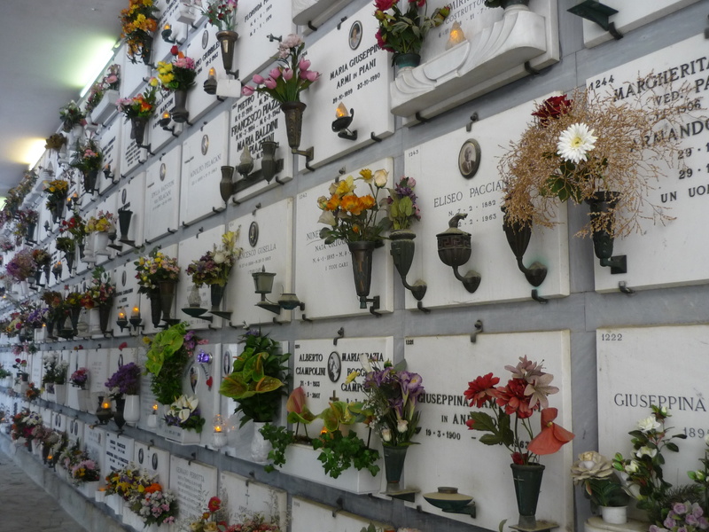 potted plant, grave, architecture, built structure, day, plant, arrangement, retail, florence, for sale, in a row, flowering plant, urn tombs, nature, communication