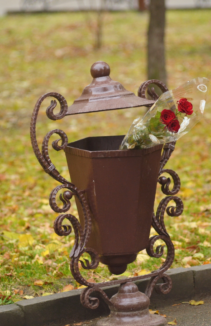 nature, plant, focus on foreground, flower, container, sunlight, old, outdoors, grass, flowers in an urn, flowering plant, roses, day, did not come, no people