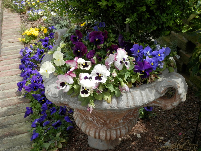 garden planter, freshness, flower head, plants, outdoors, decoration, garden, concrete urn, no people, close-up, flower pot, bouquet, arrangement, beauty in nature