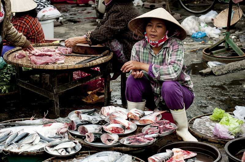 food and drink, women, food, street photography, sale, selling, business, fish, hat, person, day, meat, red, buying, lady, real people, sliced, chair, vietnam