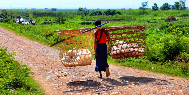 market, day, full length, lake, inle, transportation, 4K, green color, burmese, home, occupation, going, carrying, plant, rear view, casual clothing, boat