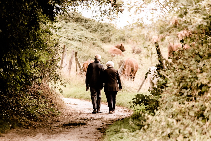 person, pensioners, outdoors, silhouette, man, street, grandpa, enjoy, tree, hiking, go for a walk, grandma, vertebrate, landscape, go, 5K, old peoples home