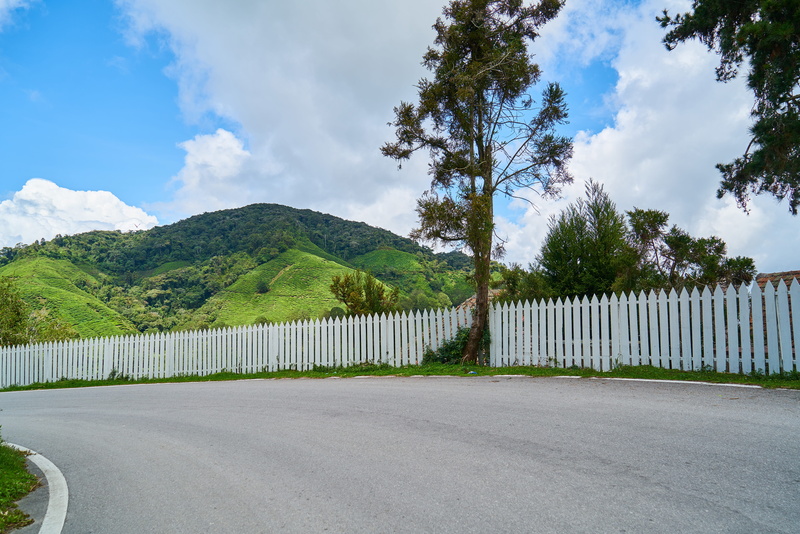 home, beauty in nature, sky, scenics - nature, road, green color, composition, cloud - sky, nature, barrier, asphalt, green, forest, outdoor, tranquility