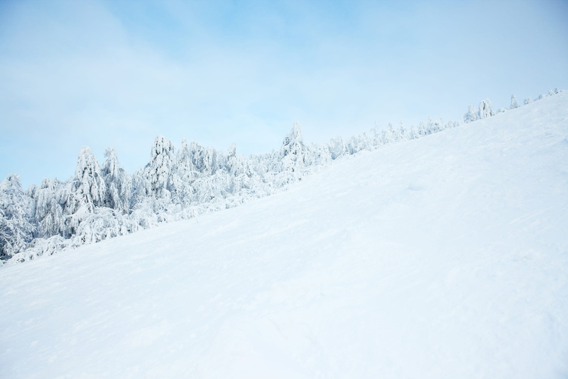 bright, wood, ski, glade, scenics - nature, holiday, no people, sun, non-urban scene, snowflake, january, rime, panorama, hoarfrost, tranquility, shadow