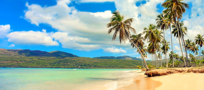 nature, lagoon, day, sun, beach panorama, the sky, coconut palm tree, the caribbean, tranquil scene, coconut tree, plant, paradise beach, 1080P, land