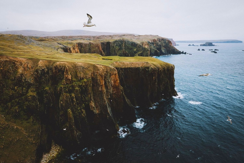 flying, sky, beauty in nature, 720P, rock - object, vertebrate, photography, animals in the wild, rock, tranquility, animal, rocks, cliff, one animal