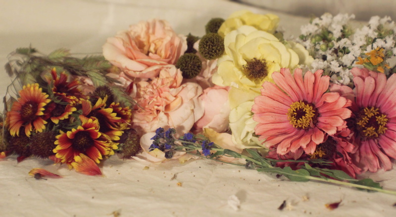 flower arrangement, crape myrtle, zinnia, inflorescence, flower head, no people, wallflower, indoors, 5K, freshness, beauty in nature, multi colored, selective focus