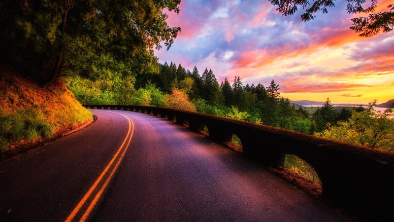 1080P, sunset, road, forest, way, nature