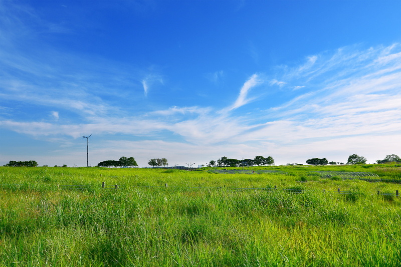clear, sangam, beauty in nature, blue, walk, cloud, park, plant, tranquility, photo, han river, fair, grassland, sky, rural scene, grass, sky park, white clouds