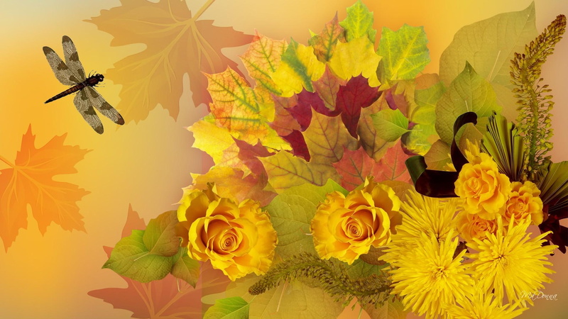 flowers, fall, leaves, roses, 1080P, dragonfly, chrysanthemums, yellow, gold, mums, maple, insect, abstract