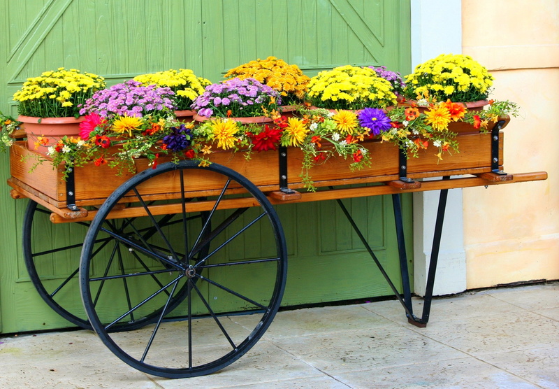 orange, sunny, wooden, chrysanthemums, architecture, springtime, season, countryside, flower, color, decorative, floral, country, flower head, flower arrangement