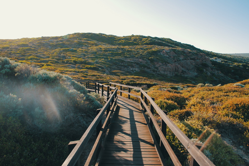 coastal, environment, day, railing, outdoors, beach, tree, bush, wood - material, margaret river, the way forward, tranquil scene, nature, tranquility