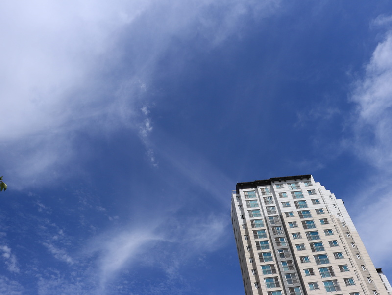 trees, autumn, skyscraper, korea, shiny, house, building, fall, architecture, tree, gray, opportunity, south, blue, relax, clean, white, concrete, city