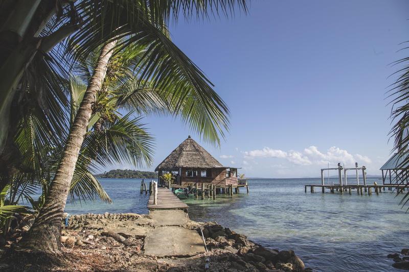 shelter, outdoor, horizon over water, sky, pier, dock, landscape, land, tropical tree, harbor, palm, wooden, ocean, hut, travel, tropical climate, port