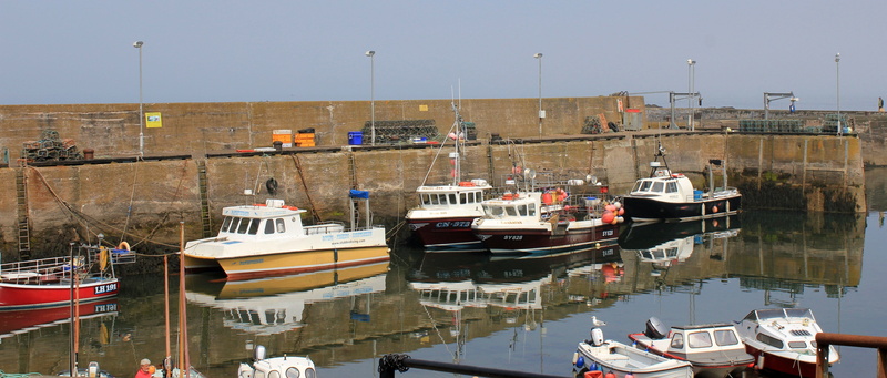 seafaring, nature, line up, port, quayside, recreational boat, nautical, building, city, dock, moored, scotland east coast, marine, gear, st abbs, harbor