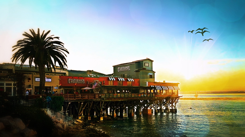 2K, tourist, sea, water, built structure, beach, architecture, tourism, pier, coast, palm tree, united states, monterey, the fish hopper, flying, ocean