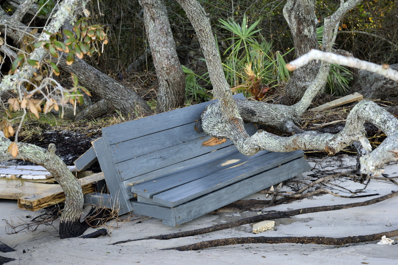 coastline, plant, field, weather, abandoned, trunk, bench, usa, pier, day, damage, wind, growth, coastal, nature, hurricane, dock, wood - material, danger
