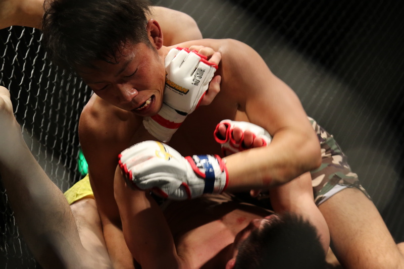 kickboxing, competition, competitive Sport, healthy Lifestyle, mixed martial arts, professional Sport, males, exercising, maza, young men, maza fight, boxing - sport