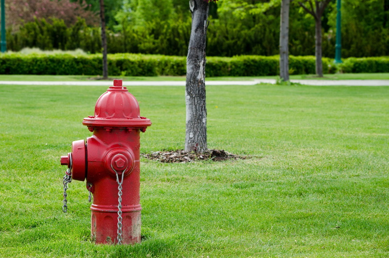lawn, nature, 4K, outdoors, park, safety, plant, security, tree, protection, green color, no people, mailbox, red, metal, day, field, grass, land, mail