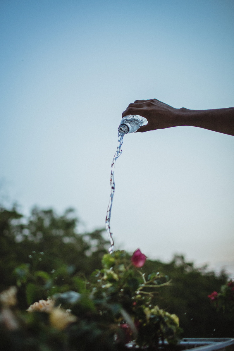 nature, washing, pouring, purity, sink faucet, focus on foreground, person, flowing, human, plumbing, one person, plant, holding, tap, 4K, outdoors, blossom