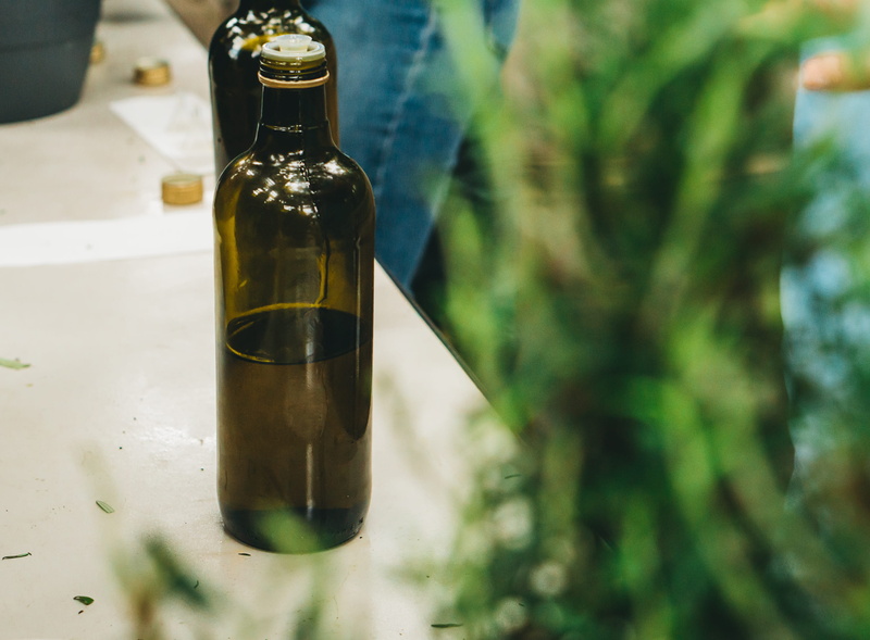 2K, stout, close-up, freshness, beer, sake, glass - material, green, food, olive oil, nature, pop bottle, wine bottle, glass, beverage, refreshment, day