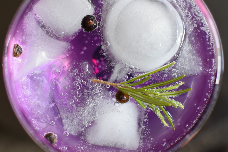 rosemary, currant, green, tonic, water, nature, vegetable, directly above, flower, drop, food and drink, 5K, food, white, no people, refreshment, freshness