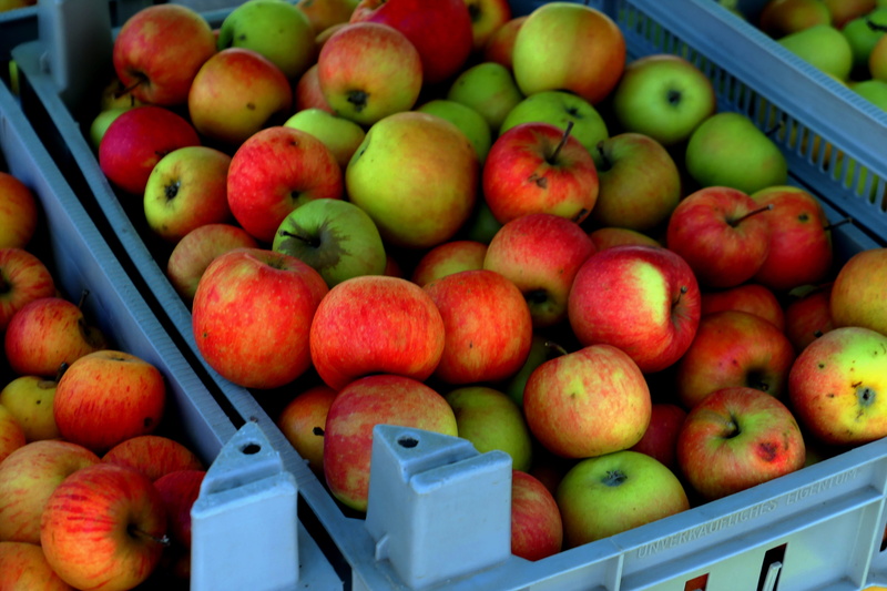 day, thirst quencher, wellbeing, red, street market, food, food and drink, tray, outdoors, container, ripe, autumn, close-up, high angle view, box, healthy eating