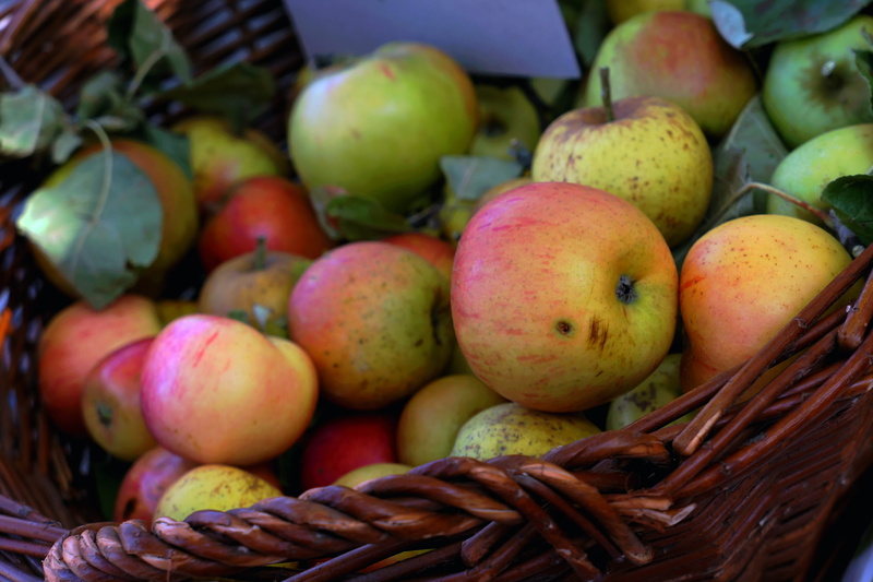 variation, apple juice, autumn, food, 5K, healthy eating, vitamins, large group of objects, outdoors, red, container, apple, vegetarian, freshness, fruit growing