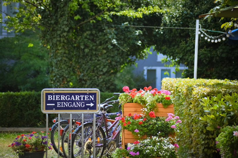tree, drinking, biergarten, gardening, outdoors, transportation, beauty in nature, 5K, text, growth, communication, eingang, flowering plant, wheel, vehicle